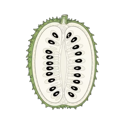 Imagen PNG para descargar